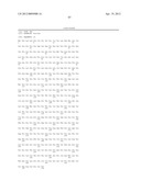 TRUNCATED ACTIVIN TYPE II RECEPTOR AND METHODS OF USE diagram and image