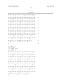 TRUNCATED ACTIVIN TYPE II RECEPTOR AND METHODS OF USE diagram and image