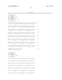 TRUNCATED ACTIVIN TYPE II RECEPTOR AND METHODS OF USE diagram and image