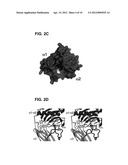 METHODS FOR CREATING OR IDENTIFYING COMPOUNDS THAT BIND TUMOR NECROSIS     FACTOR ALPHA diagram and image