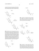 POLY (ADP-RIBOSE) POLYMERASE (PARP) INHIBITORS diagram and image