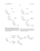 POLY (ADP-RIBOSE) POLYMERASE (PARP) INHIBITORS diagram and image