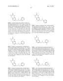 POLY (ADP-RIBOSE) POLYMERASE (PARP) INHIBITORS diagram and image