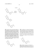 POLY (ADP-RIBOSE) POLYMERASE (PARP) INHIBITORS diagram and image