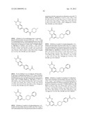 POLY (ADP-RIBOSE) POLYMERASE (PARP) INHIBITORS diagram and image