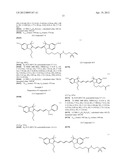 NOVEL CYANINE COMPOUND FOR LABELING BIOMOLECULE AND PREPARATION METHOD     THEREOF diagram and image