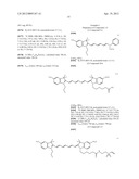 NOVEL CYANINE COMPOUND FOR LABELING BIOMOLECULE AND PREPARATION METHOD     THEREOF diagram and image