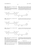 NOVEL CYANINE COMPOUND FOR LABELING BIOMOLECULE AND PREPARATION METHOD     THEREOF diagram and image