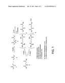 Process for preparation of L-Arginine alpha-ketoglutarate 1:1 and 2:1 diagram and image