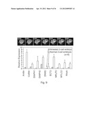 IMAGING AND EVALUATING EMBRYOS, OOCYTES, AND STEM CELLS diagram and image