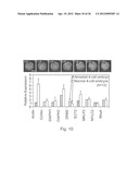 IMAGING AND EVALUATING EMBRYOS, OOCYTES, AND STEM CELLS diagram and image