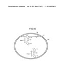 CAPSULE MEDICAL DEVICE GUIDANCE SYSTEM AND METHOD FOR GUIDING CAPSULE     MEDICAL DEVICE diagram and image