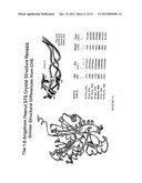 METHODS OF PRODUCING POLYKETIDE SYNTHASE MUTANTS AND COMPOSITIONS AND USES     THEREOF diagram and image