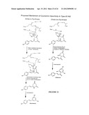 METHODS OF PRODUCING POLYKETIDE SYNTHASE MUTANTS AND COMPOSITIONS AND USES     THEREOF diagram and image