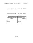 Plants Having Enhanced Yield-Related Traits and a Method for Making the     Same diagram and image