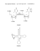 Plants Having Enhanced Yield-Related Traits and a Method for Making the     Same diagram and image