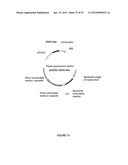 Plants Having Enhanced Yield-Related Traits and a Method for Making the     Same diagram and image