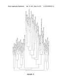 Plants Having Enhanced Yield-Related Traits and a Method for Making the     Same diagram and image