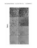 FABRICATION OF SURFACE TEXTURES BY ION IMPLANTATION FOR ANTIREFLECTION OF     SILICON CRYSTALS diagram and image