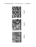 NANOSTRUCTURED APPARATUS AND METHODS FOR PRODUCING CARBON-CONTAINING     MOLECULES AS A RENEWABLE ENERGY RESOURCE diagram and image