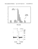 MATERIALS AND METHODS FOR RESOLVING POLYHYDRIC SPECIES BY ELECTROPHORESIS diagram and image