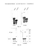 MATERIALS AND METHODS FOR RESOLVING POLYHYDRIC SPECIES BY ELECTROPHORESIS diagram and image