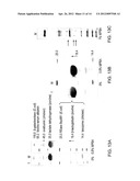 MATERIALS AND METHODS FOR RESOLVING POLYHYDRIC SPECIES BY ELECTROPHORESIS diagram and image