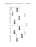 MATERIALS AND METHODS FOR RESOLVING POLYHYDRIC SPECIES BY ELECTROPHORESIS diagram and image