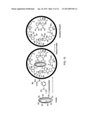 MATERIALS AND METHODS FOR RESOLVING POLYHYDRIC SPECIES BY ELECTROPHORESIS diagram and image