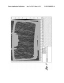 METHOD AND APPARATUS FOR MEASURING TRANSMITTED OPTICAL DISTORTION IN GLASS     SHEETS diagram and image