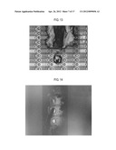 DISPLAY PANEL, DISPLAY APPARATUS HAVING THE SAME, METHOD OF MANUFACTURING     THE SAME AND METHOD OF CUTTING THE SAME diagram and image