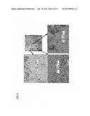 CAPACITOR ELECTRODE BODY, METHOD FOR MANUFACTURING THE CAPACITOR ELECTRODE     BODY, CAPACITOR, AND METHOD FOR MANUFACTURING THE CAPACITOR diagram and image