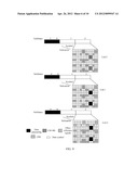 METHOD, APPARATUS, AND SYSTEM FOR PROCESSING REFERENCE SIGNAL diagram and image