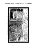 INSERTION OF 3D OBJECTS IN A STEREOSCOPIC IMAGE AT RELATIVE DEPTH diagram and image