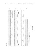 Anti-CD74 Immunoconjugates and Methods of Use diagram and image