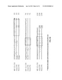 Anti-CD74 Immunoconjugates and Methods of Use diagram and image