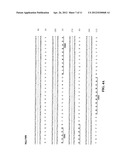 Anti-CD74 Immunoconjugates and Methods of Use diagram and image