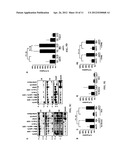 Anti-CD74 Immunoconjugates and Methods of Use diagram and image