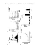 Anti-CD74 Immunoconjugates and Methods of Use diagram and image