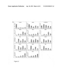 REGIONALISED ENDODERM CELLS AND USES THEREOF diagram and image