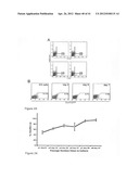 REGIONALISED ENDODERM CELLS AND USES THEREOF diagram and image