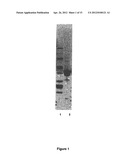 Pegylated L-Asparaginase diagram and image