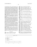 N-Terminal Truncated Protofibrils/Oligomers for Use in Therapeutic and     Diagnostic Methods for Alzheimer s Disease and Related Disorders diagram and image