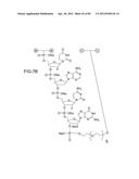 METHODS FOR TREATING OR PREVENTING OPHTHALMOLOGICAL DISEASES diagram and image