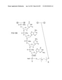 METHODS FOR TREATING OR PREVENTING OPHTHALMOLOGICAL DISEASES diagram and image