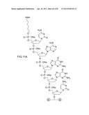 METHODS FOR TREATING OR PREVENTING OPHTHALMOLOGICAL DISEASES diagram and image