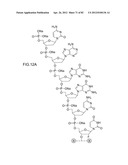 METHODS FOR TREATING OR PREVENTING OPHTHALMOLOGICAL DISEASES diagram and image