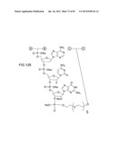 METHODS FOR TREATING OR PREVENTING OPHTHALMOLOGICAL DISEASES diagram and image