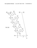 METHODS FOR TREATING OR PREVENTING OPHTHALMOLOGICAL DISEASES diagram and image