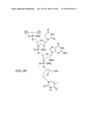 METHODS FOR TREATING OR PREVENTING OPHTHALMOLOGICAL DISEASES diagram and image